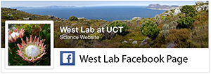 West Lab on Facebook